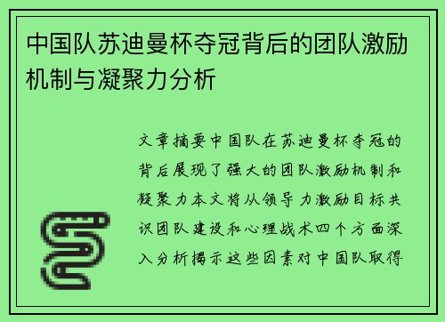 中国队苏迪曼杯夺冠背后的团队激励机制与凝聚力分析